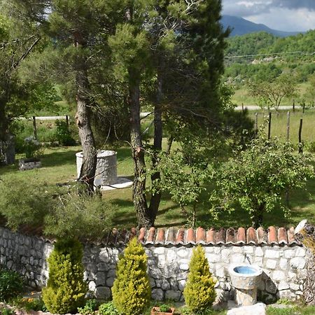 B&B Nel Verde Montesano sulla Marcellana Екстериор снимка