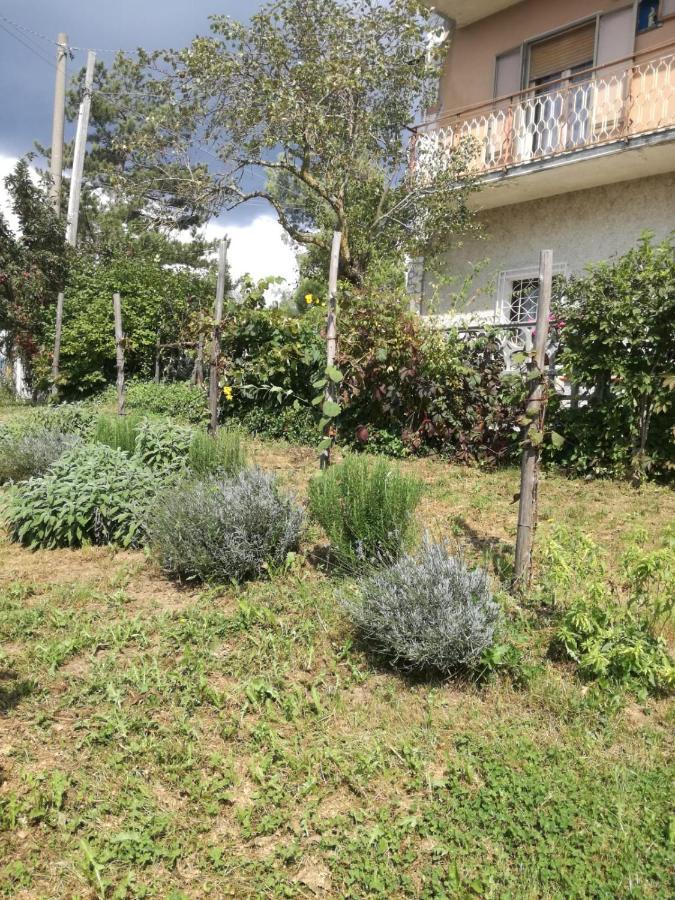 B&B Nel Verde Montesano sulla Marcellana Екстериор снимка
