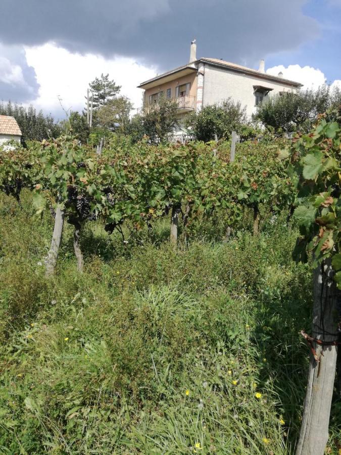 B&B Nel Verde Montesano sulla Marcellana Екстериор снимка