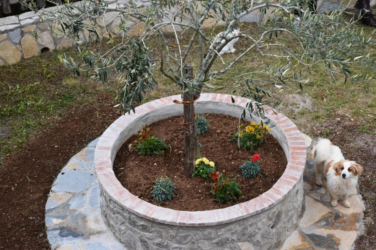 B&B Nel Verde Montesano sulla Marcellana Екстериор снимка